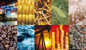 Commodity Market 2013 is going to affect your market