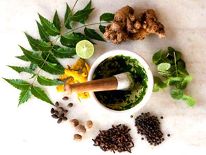 herbs used in Ayurvedic medicines