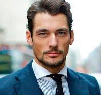 David Gandy