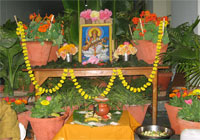 Goddess Saraswati pooja 