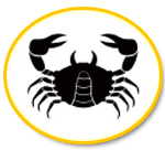 Daily horoscope for Cancer