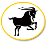 Daily horoscope for Capricorn