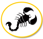 Daily horoscope for Scorpio