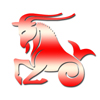 Capricorn Zodiac Horoscope 2013