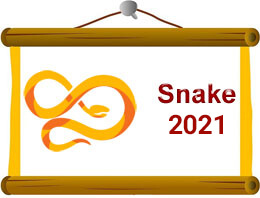 Snake Chinese Horoscope 2021