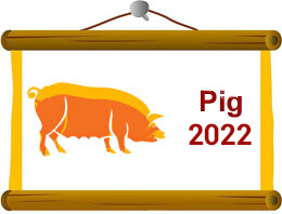 Pig Chinese Horoscope 2022
