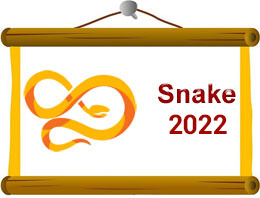 Snake Chinese Horoscope 2022