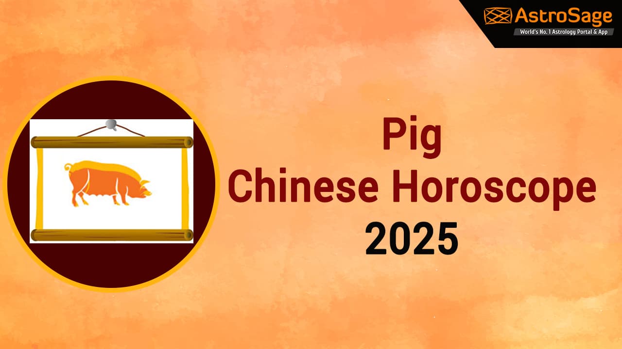 Pig Chinese Horoscope 2025