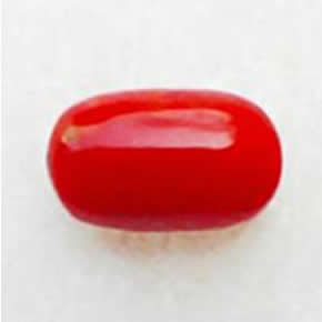 Red Coral Gemstone: Benefits of Wearing 