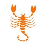 Scorpio Zodiac Sign for Man