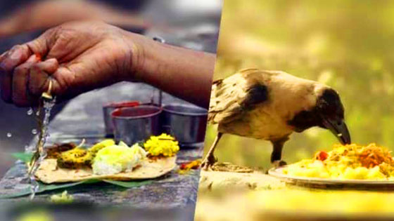  Mahalaya Amavasya - Beginning of Pitru Paksha